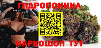ПСИЛОЦИБИНОВЫЕ ГРИБЫ Балашиха